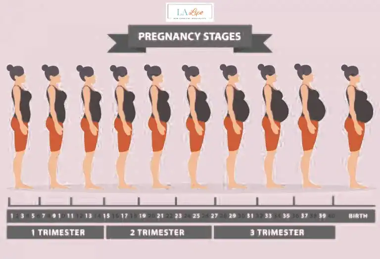 First Trimester (Weeks 1–12): Early Changes You Might Not Notice Harpenden
